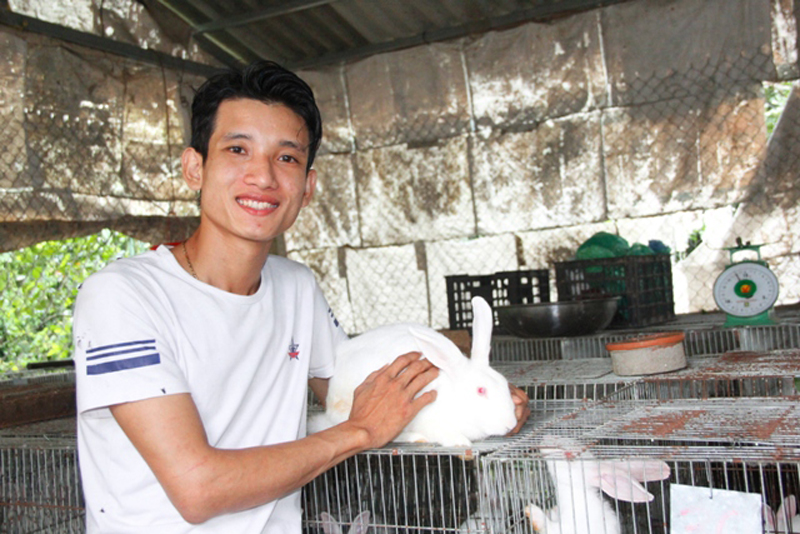 Vươn lên làm giàu với mô hình nuôi thỏ New Zealand  Cổng Thông Tin Hội  Liên hiệp Phụ nữ Việt Nam